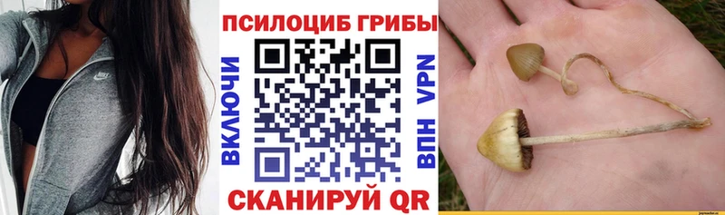 Псилоцибиновые грибы MAGIC MUSHROOMS Почеп